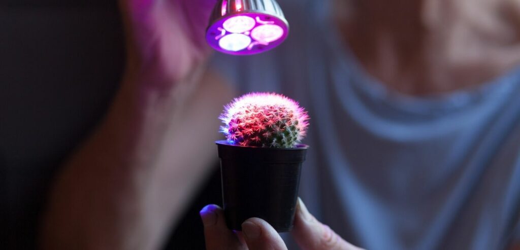 Pflanzenlampen für Zimmerpflanzen