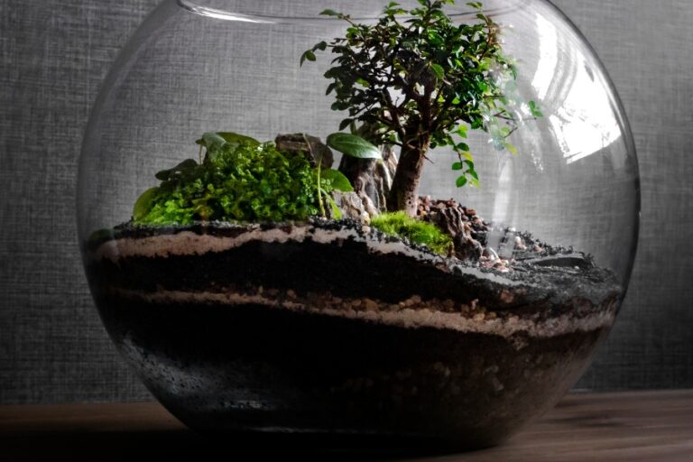 Pflanztrichter Für Terrarien - Praktischer Trichter Für Flaschengärten